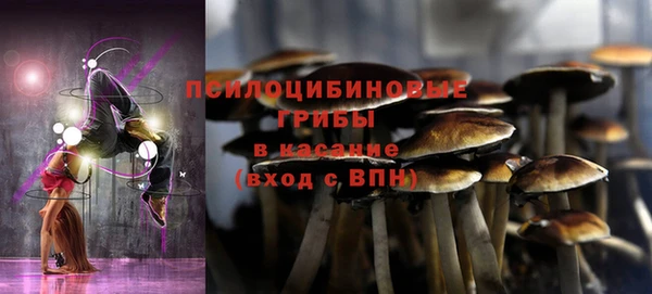 стаф Заволжье