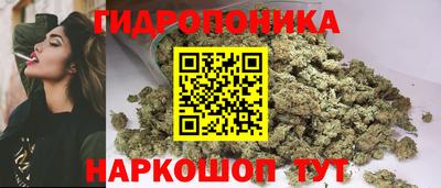 сатива Анжеро-Судженск