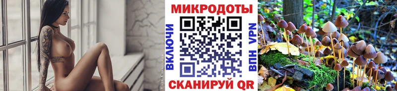 Галлюциногенные грибы GOLDEN TEACHER  ссылка на мегу онион  Ржев 
