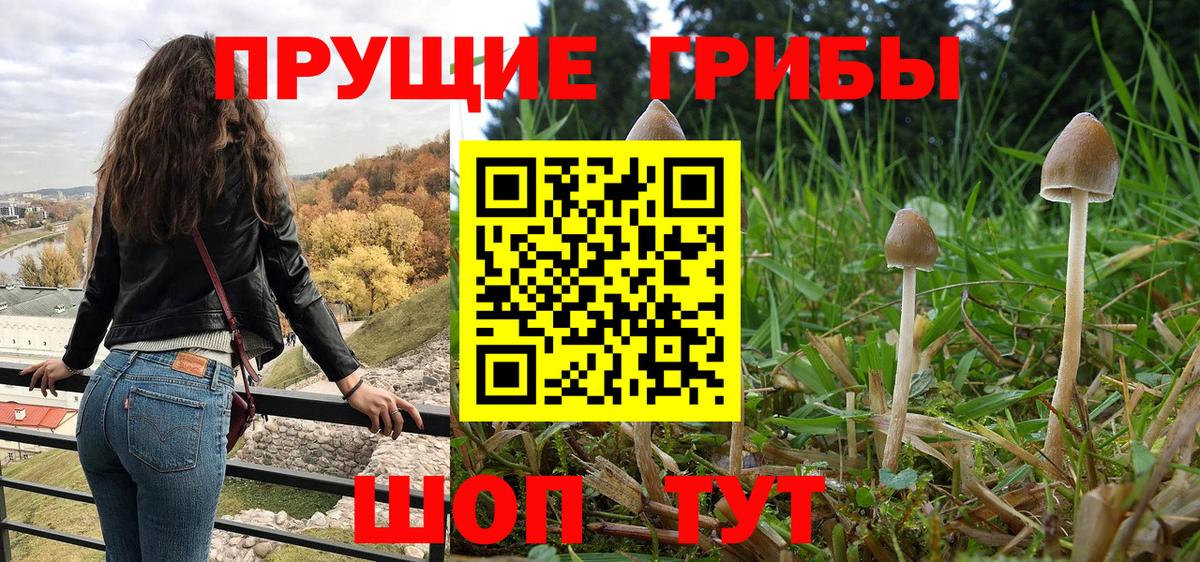 Псилоцибиновые грибы мицелий  Вход с VPN  Ржев 