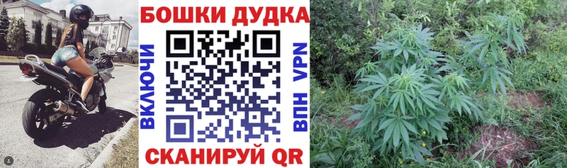 Канабис ГИДРОПОН  купить наркоту  Ржев 